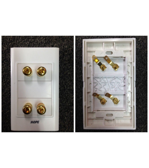 2 Speaker Wall Plate/Outlet